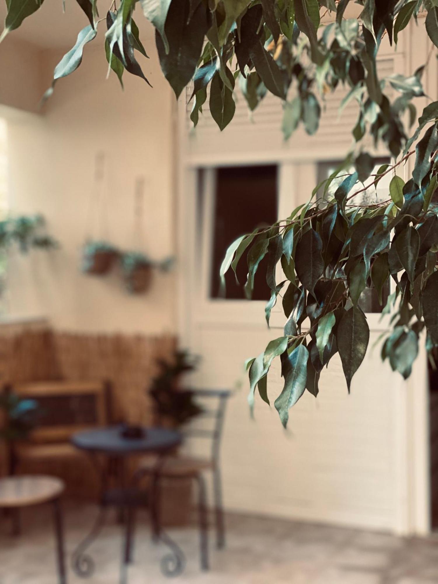 Independent House At Glyfada Lejlighed Athen Eksteriør billede